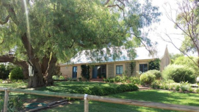 The Cottage at Riverside Farm, Lyndoch